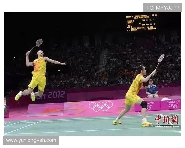 南京羽毛球队在全国锦标赛中的默契配合与战术分析